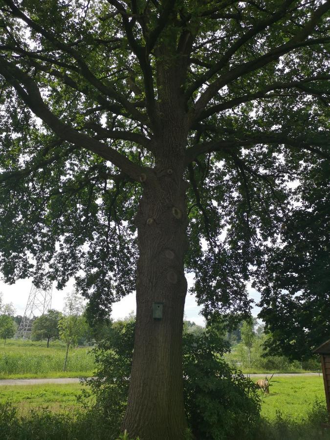 Vakantieboerderij Misset Apartment Goor Luaran gambar