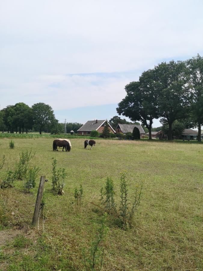 Vakantieboerderij Misset Apartment Goor Luaran gambar